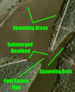 Post Spawn Bass Fishing Locations